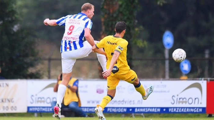 他与政治盟 他与政治盟