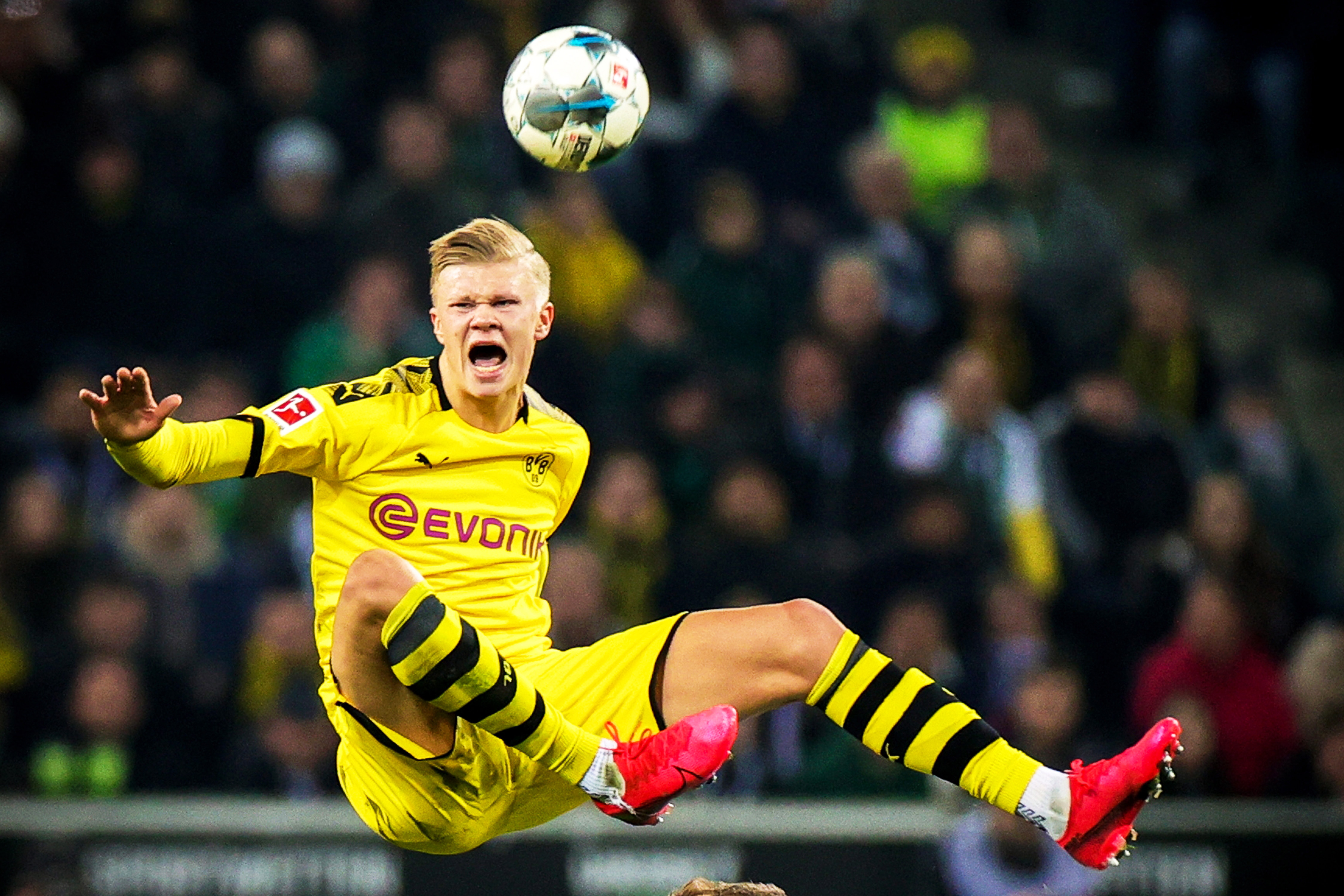 DH往往意 DH往往意